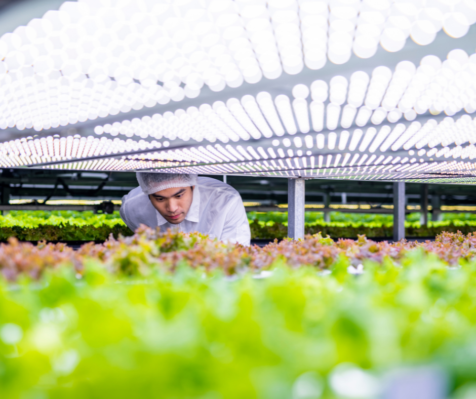 AGRI - FOOD PILOT PROGRAM